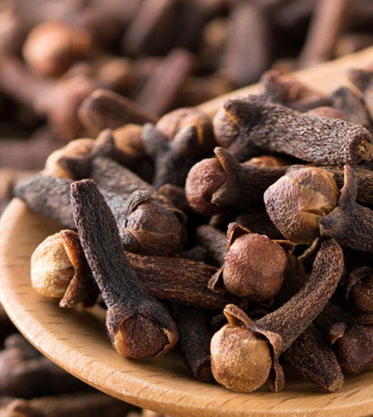 Clove