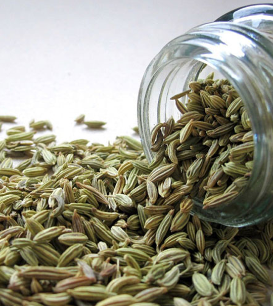 Fennel Seed